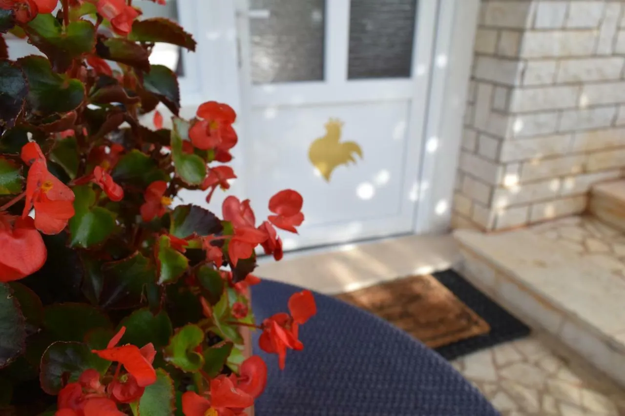 Apartments Galli Porec 0*,